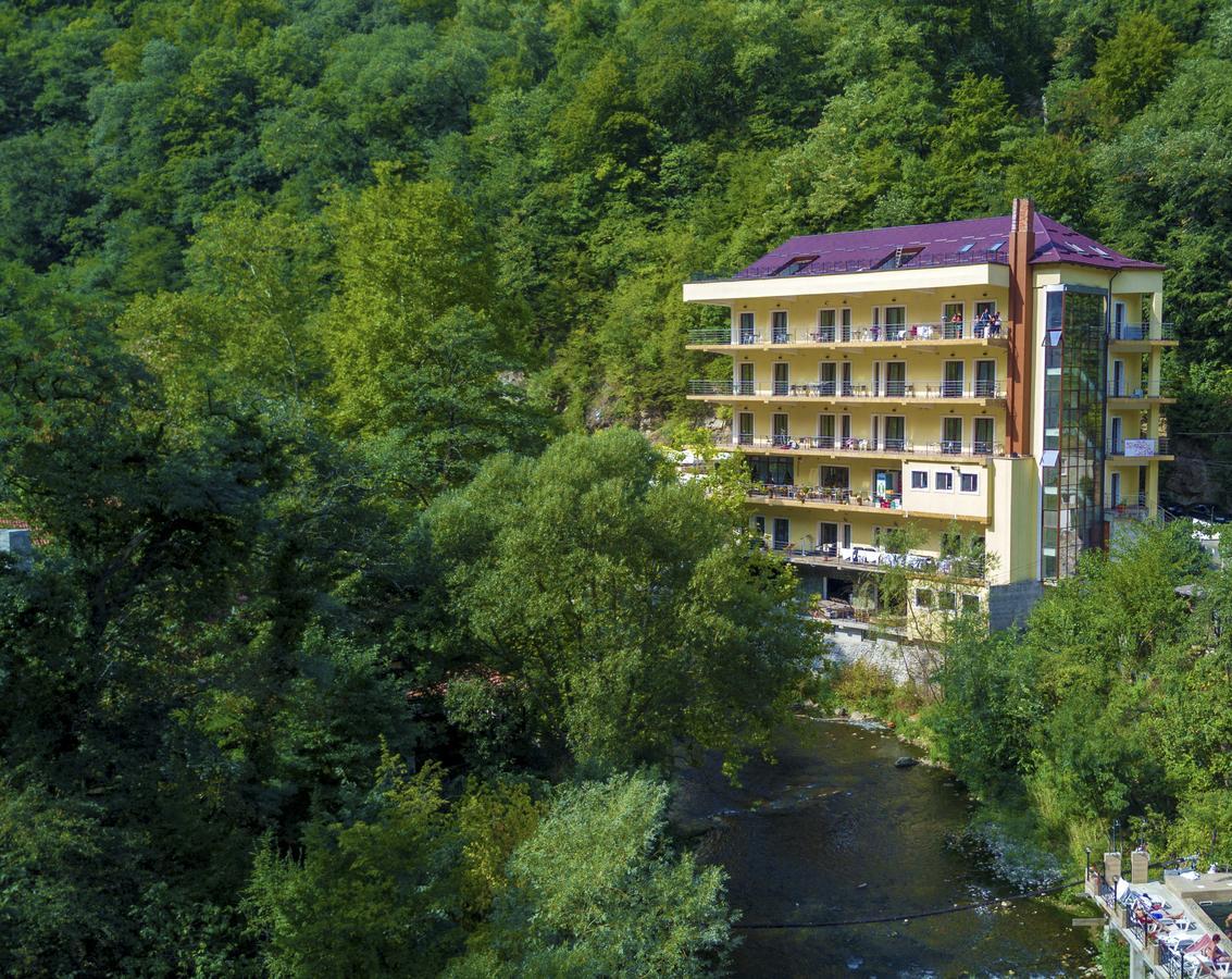 Hotel Holiday Maria Baile Herculane Bagian luar foto